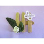 Picket Fence